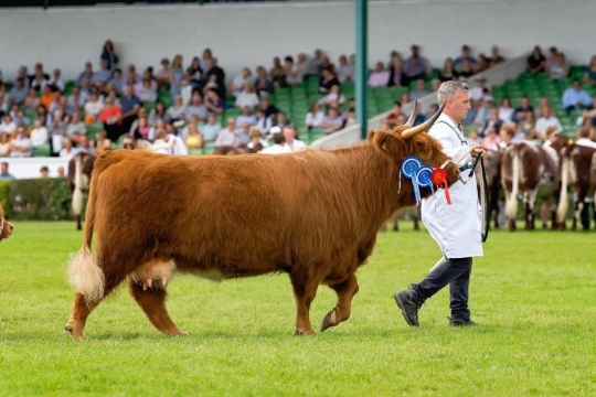 K2photographic Commissioned Events 77 GYS2019_14_11_19_A_0198-1