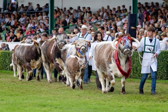 K2photographic Commissioned Events 93 GYS2019_14_38_05_A_0205-2