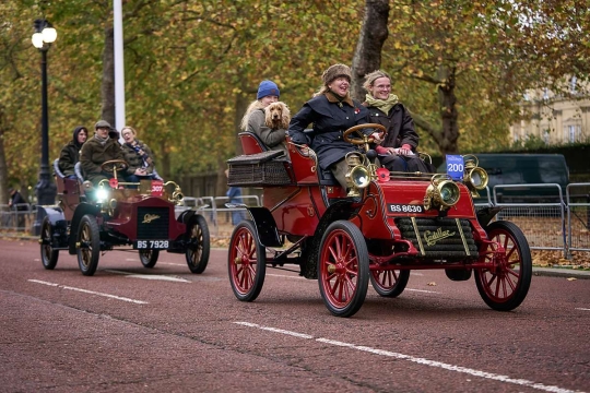 London To Brighton Veteran Car Run 2024 - London Calling 89 200-BS8630-Dog-London To Brighton Veteran Car Run 2024-K2Photographic web