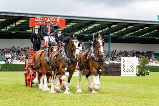 K2photographic Commissioned Events 51 GYS2019_12_56_32_A_0131-1