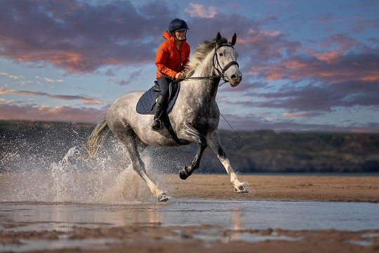 Horse Portrait Photography Gallery - Using Off Camera Flash - K2Photographic 5 Beach-Action-Shoot