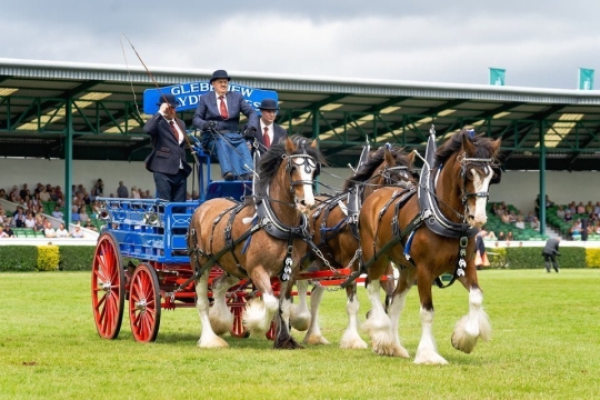 K2photographic Commissioned Events 117 GYS2019_12_55_21_A_0124-1