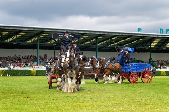 K2photographic Commissioned Events 67 GYS2019_12_55_11_A_0122-2