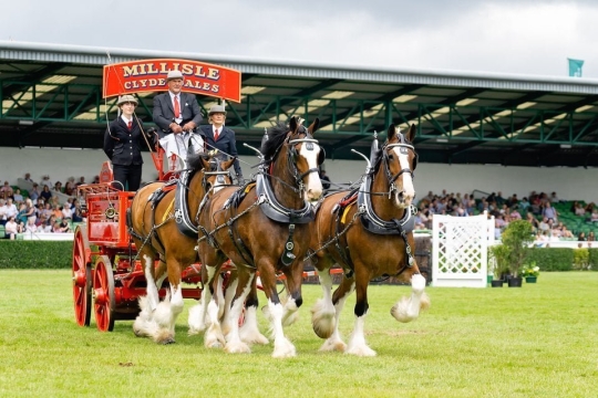 K2photographic Commissioned Events 73 DSC1493-1