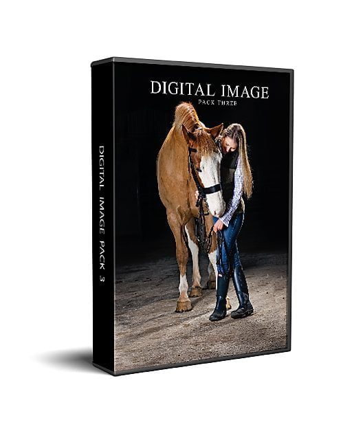 K2photographic - UK specialists in cinematic off-camera flash for horse portrait photography, dog & family portraits.