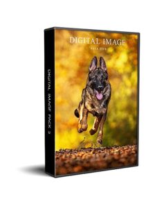 K2photographic - UK specialists in cinematic off-camera flash for horse portrait photography, dog & family portraits.