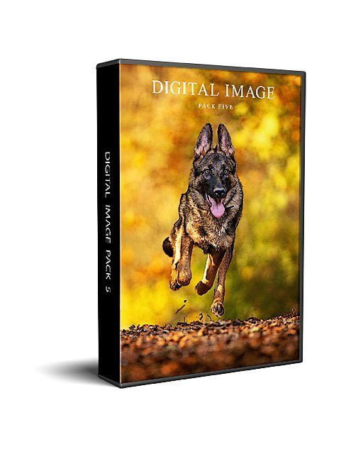 K2photographic - UK specialists in cinematic off-camera flash for horse portrait photography, dog & family portraits.
