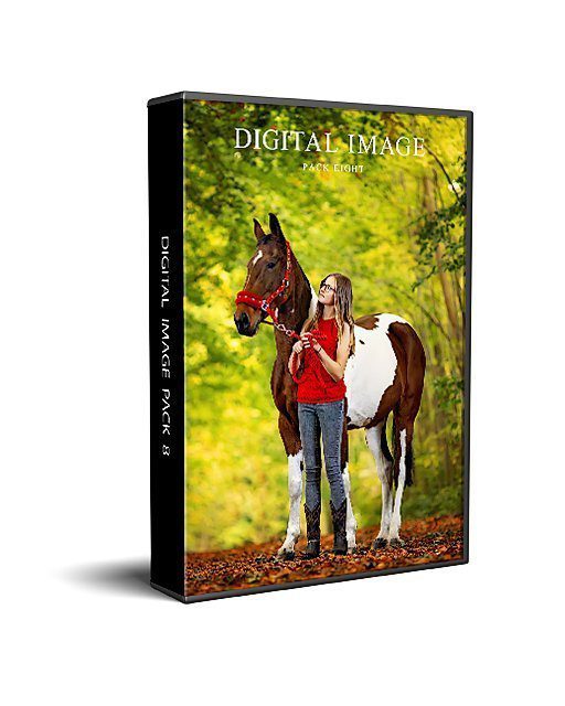 K2photographic - UK specialists in cinematic off-camera flash for horse portrait photography, dog & family portraits.
