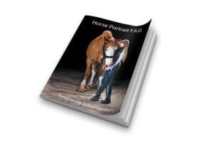 K2photographic - UK specialists in cinematic off-camera flash for horse portrait photography, dog & family portraits.