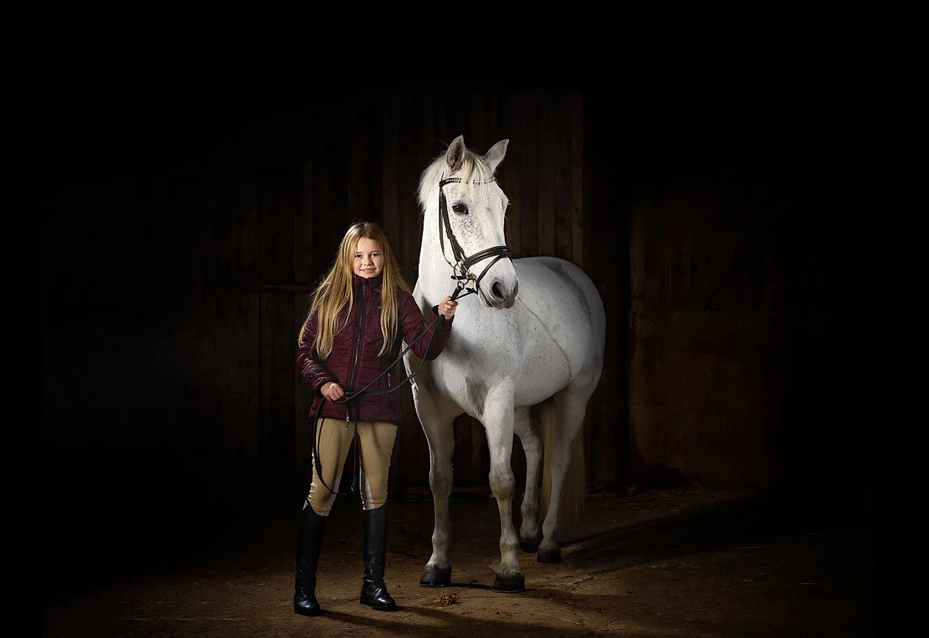 Yorkshire horse photography, Horse Portrait Photography, Equine photography