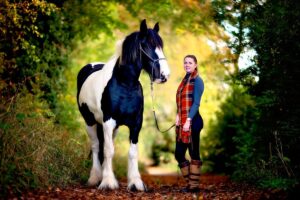 Horse portrait photography, Equine photography, K2photographic