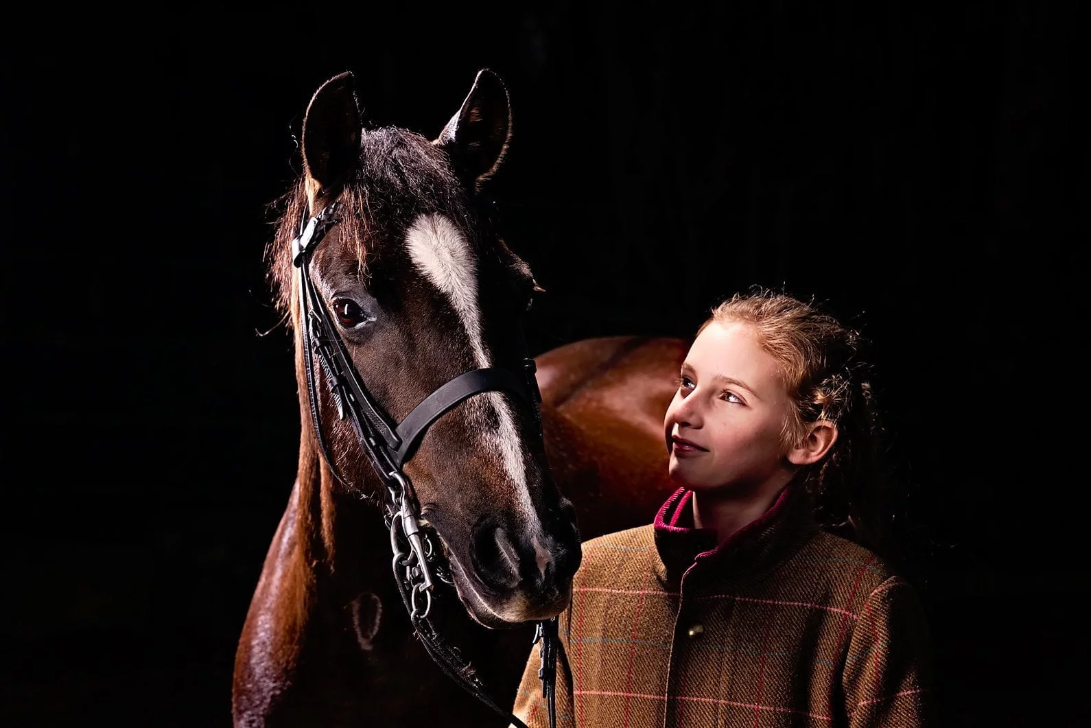 Horse portrait photography, Equine photography, K2photographic