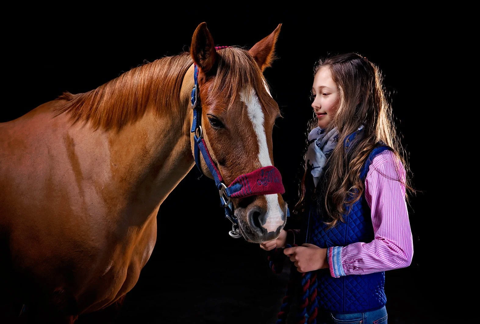Horse portrait photography, Equine photography, K2photographic