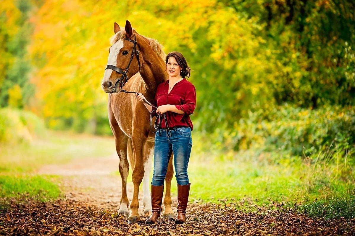 Horse portrait photography, Equine photography, K2photographic
