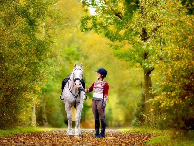 Horse portrait photography, Equine photography, K2photographic