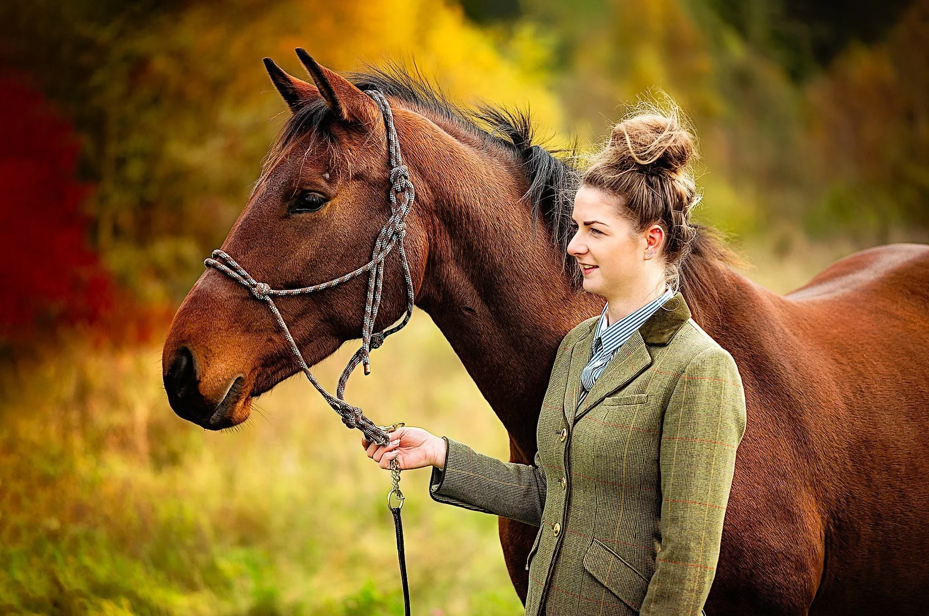 Horse portrait photography, Equine photography, K2photographic