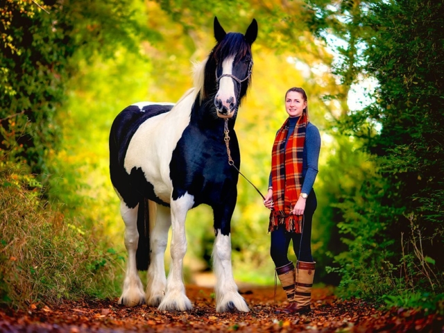 Horse portrait photography, Equine photography, K2photographic