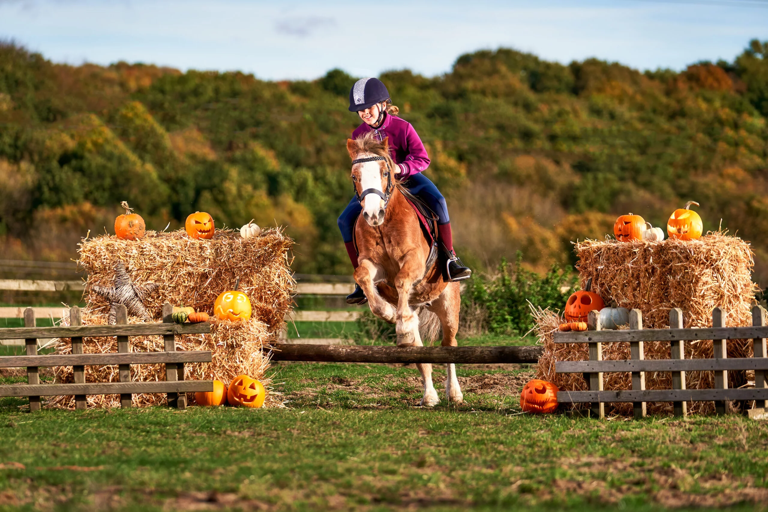 K2photographic - UK specialists in cinematic off-camera flash for horse portrait photography, dog & family portraits.