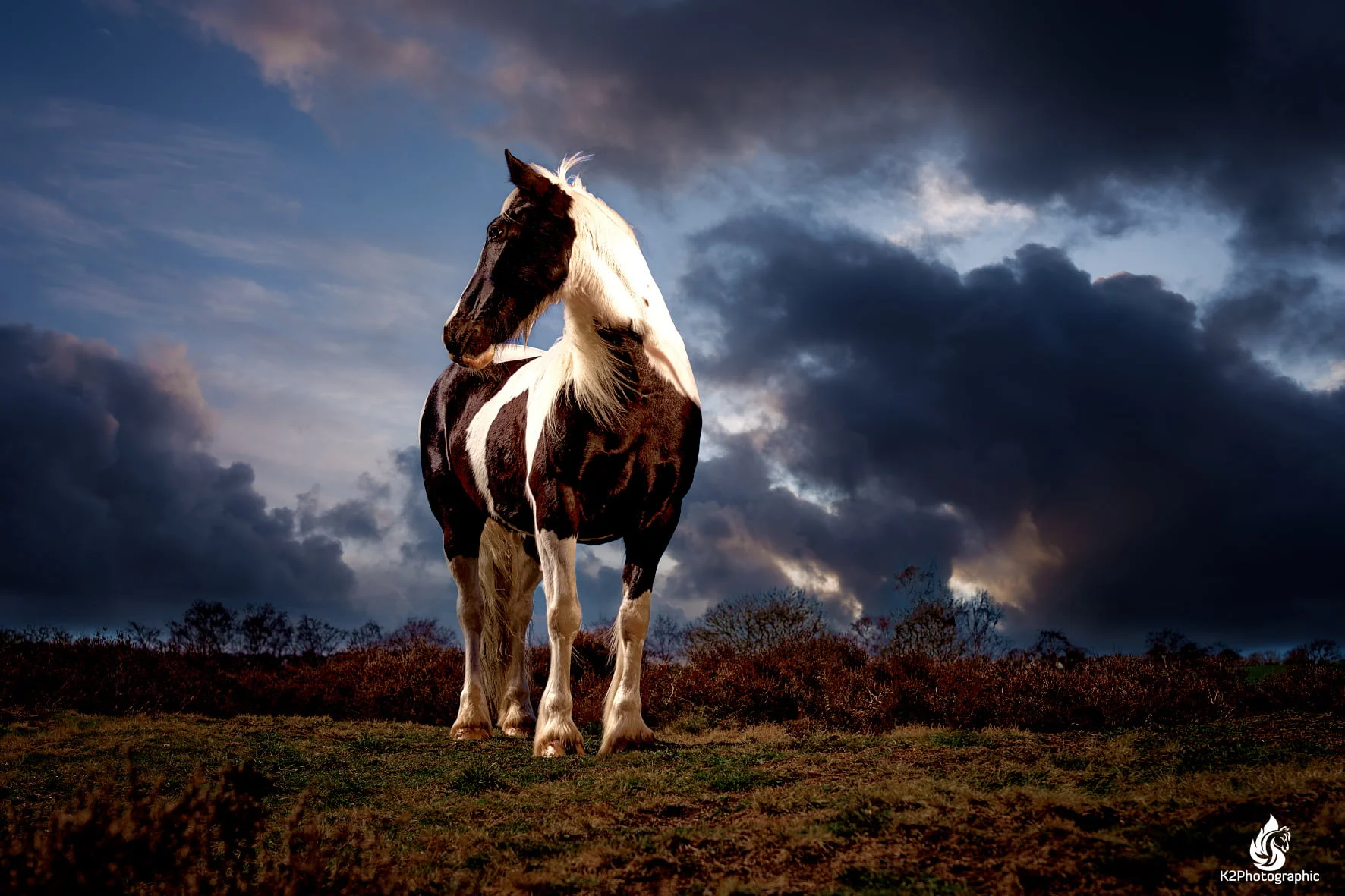 Amazing Dark And Dramatic Horse Portrait Photography in Yorkshire - K2Photographic - Gallery