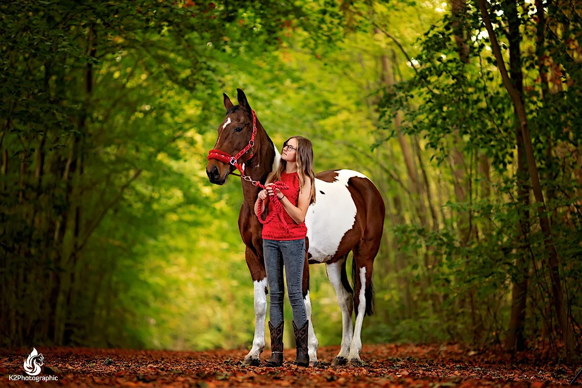 Horse portrait photography, Equine photography,