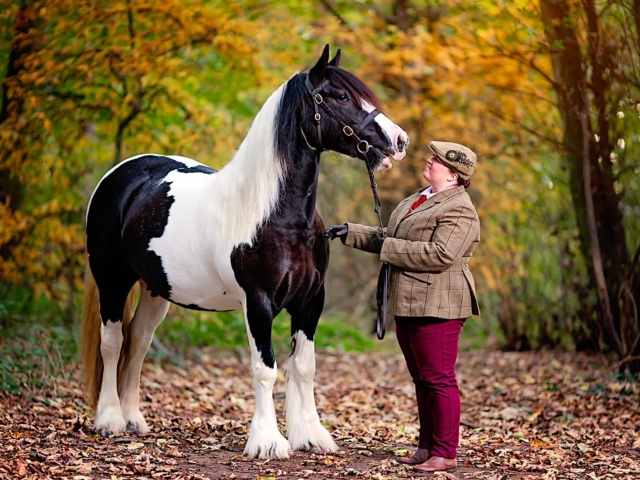 Horse portrait photography, Equine photography, K2photographic