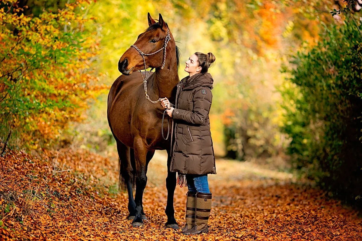 Horse portrait photography, Equine photography, K2photographic