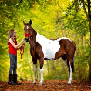 Horse Portrait Photography In Beautiful Yorkshire Locations