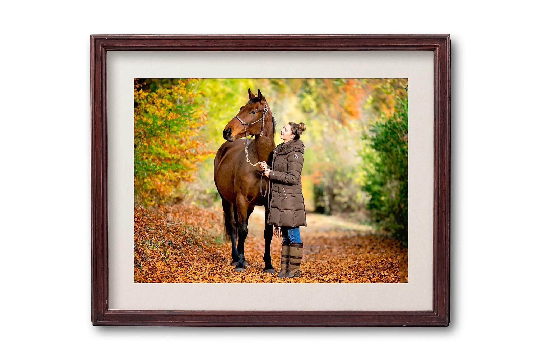Horse portrait photography, Equine photography, autumn