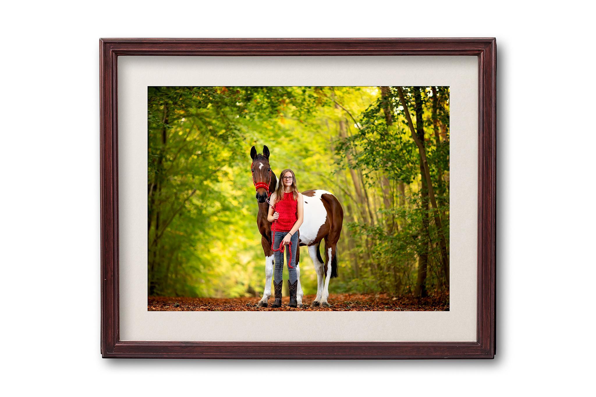 Horse portrait photography, Equine photography,