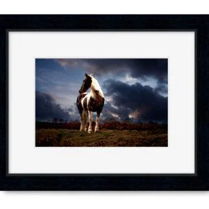 Black Picture Frame With A4 Mounted Horse Portrait Print