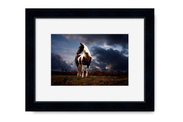 Black Picture Frame With A4 Mounted Horse Portrait Print