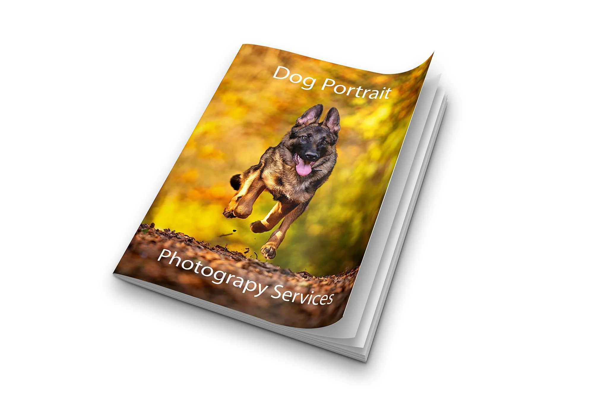 K2photographic - UK specialists in cinematic off-camera flash for horse portrait photography, dog & family portraits.