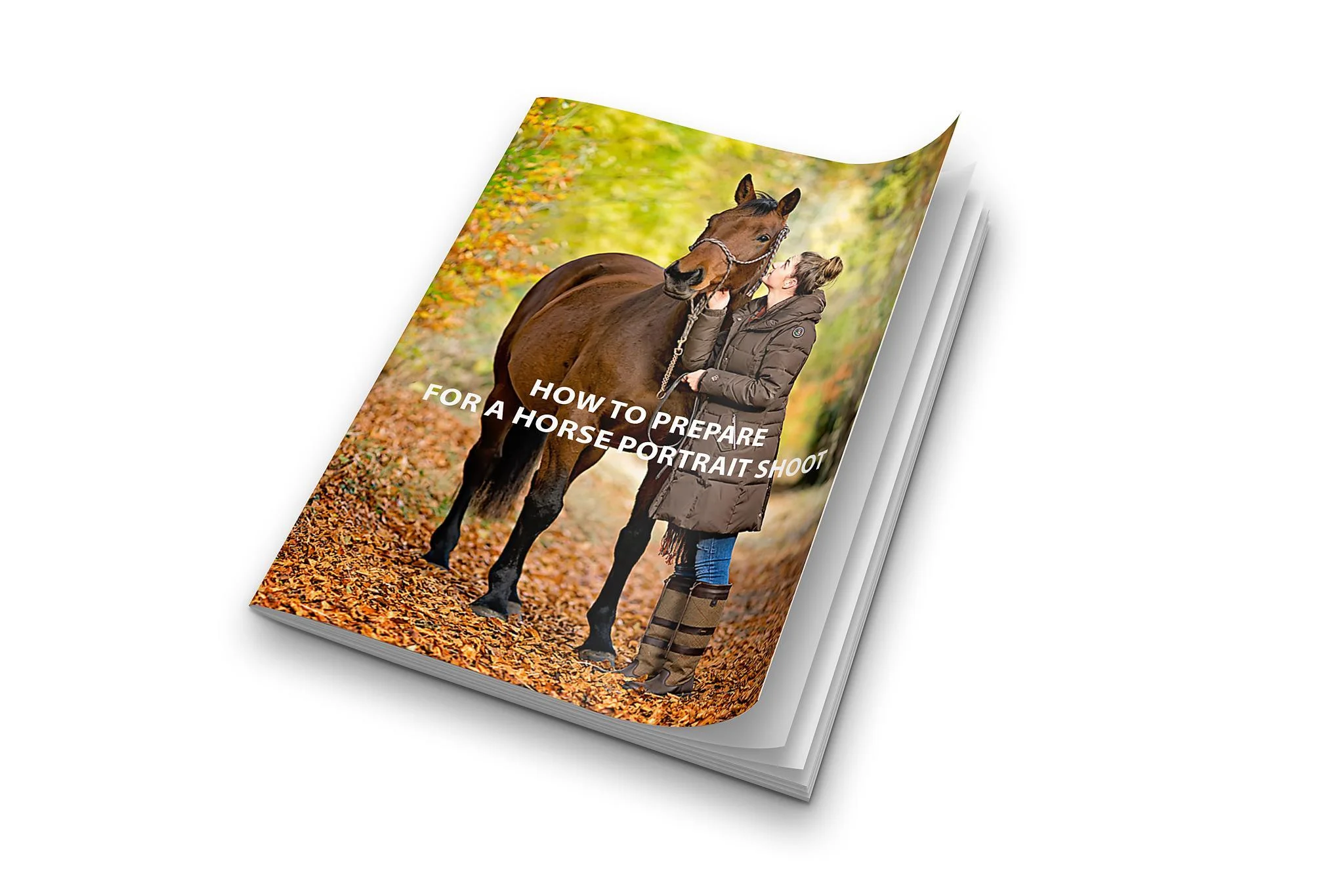 For Cinematic Horse Portrait Photography In Yorkshire With Off Camera Flash Start Here 3 K2photographic - UK specialists in cinematic off-camera flash for horse portrait photography, dog & family portraits.