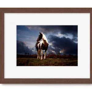 Walnut Picture Frame With A4 Mounted Horse Portrait Print
