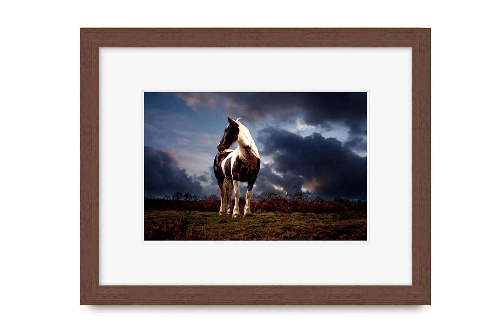 Cinematic horse photography with off camera flash www.K2photographic.com Wakefield West Yorkshire UK
