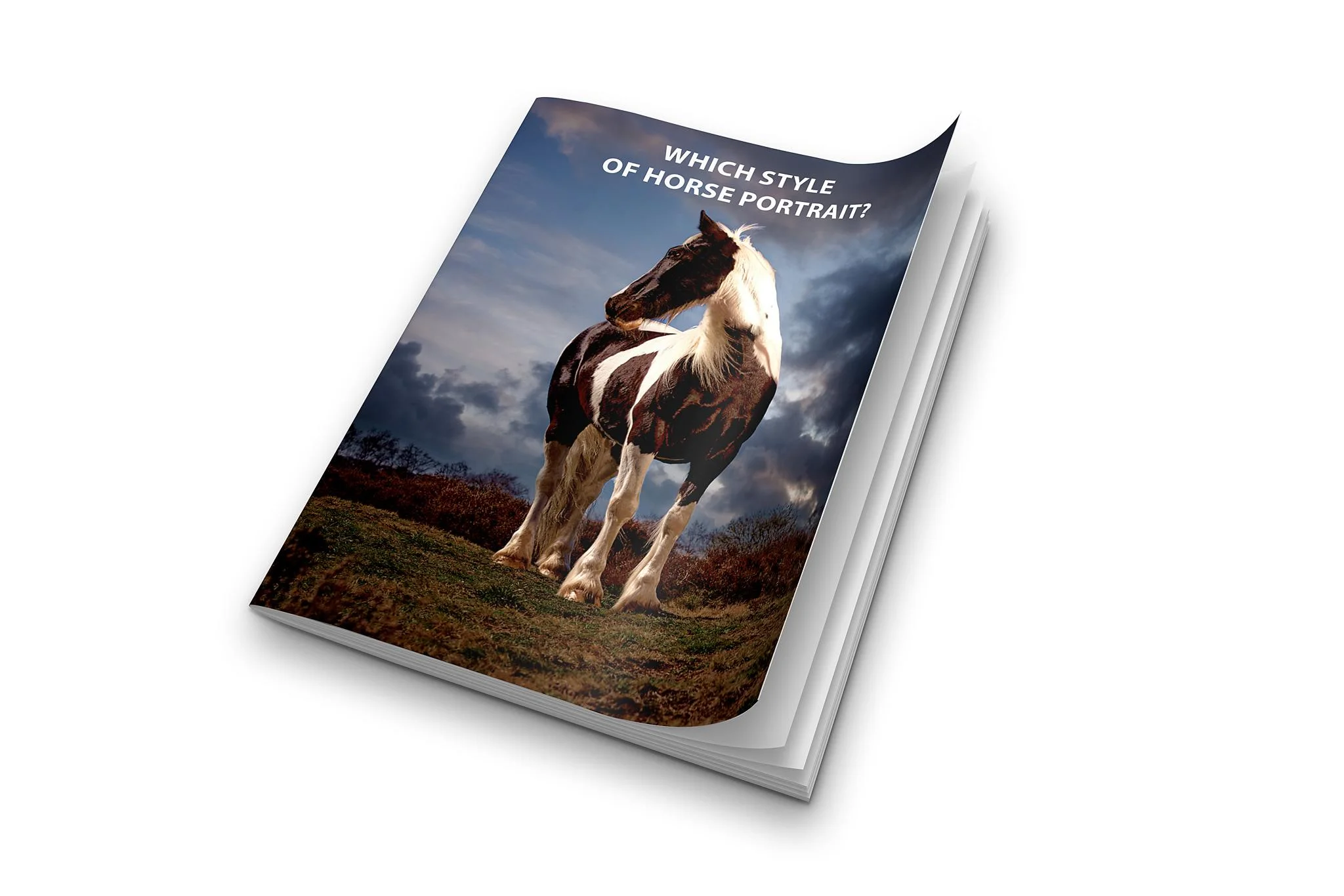 For Cinematic Horse Portrait Photography In Yorkshire With Off Camera Flash Start Here 6 K2photographic - UK specialists in cinematic off-camera flash for horse portrait photography, dog & family portraits.