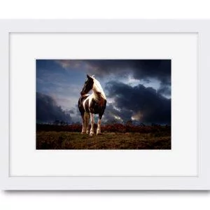 Cinematic horse photography with off camera flash www.K2photographic.com Wakefield West Yorkshire UK