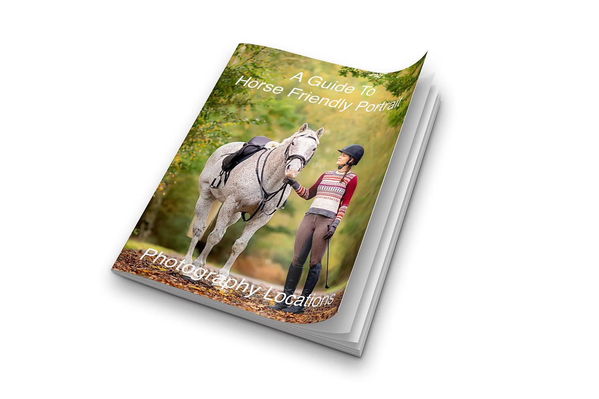 For Cinematic Horse Portrait Photography In Yorkshire With Off Camera Flash Start Here 2 K2photographic - UK specialists in cinematic off-camera flash for horse portrait photography, dog & family portraits.