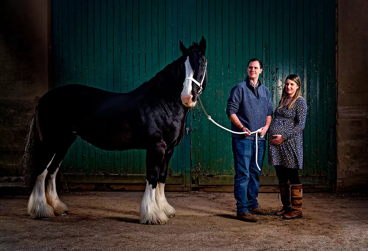 K2photographic - UK specialists in cinematic off-camera flash for horse portrait photography, dog & family portraits.