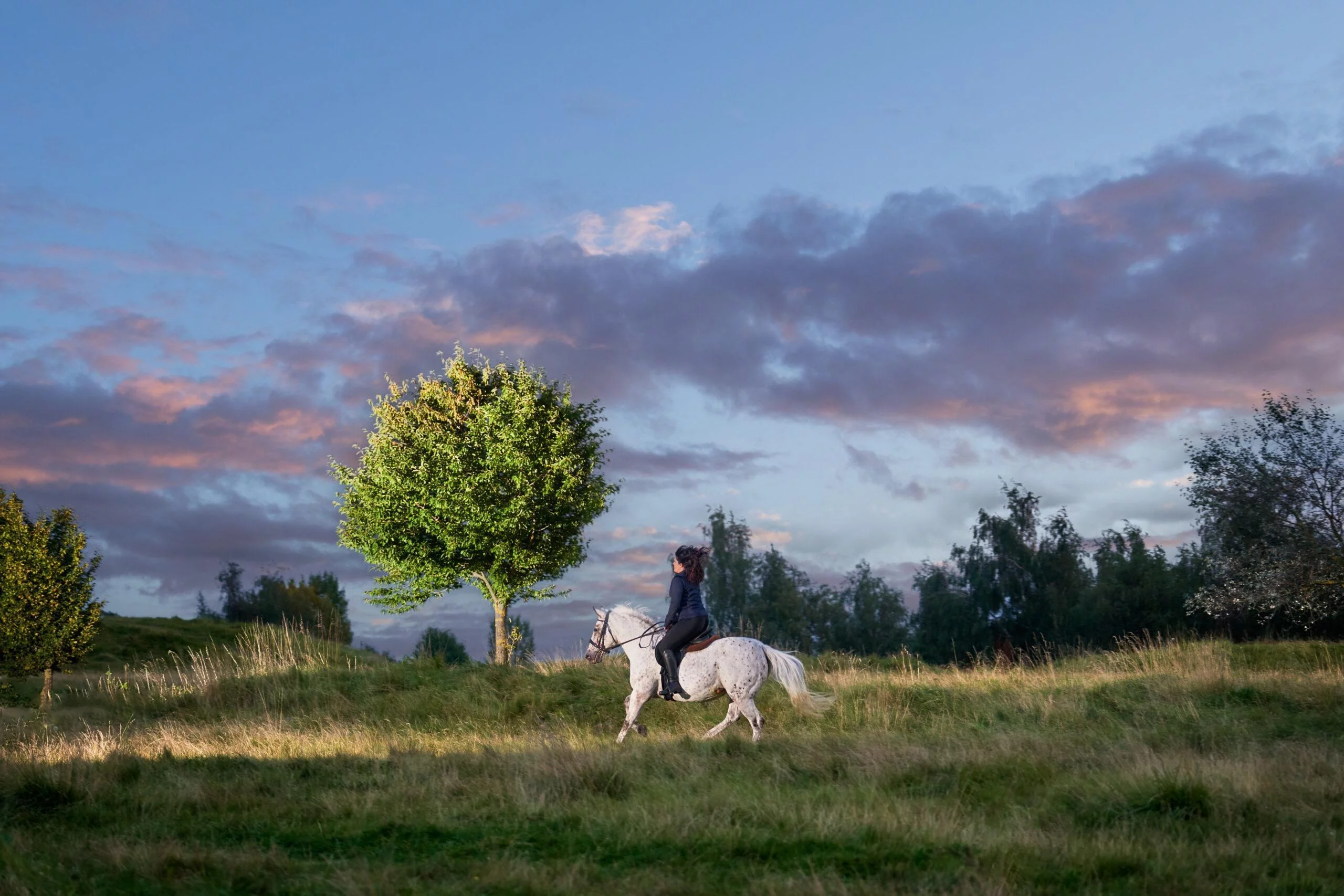 K2photographic - UK specialists in cinematic off-camera flash for horse portrait photography, dog & family portraits.