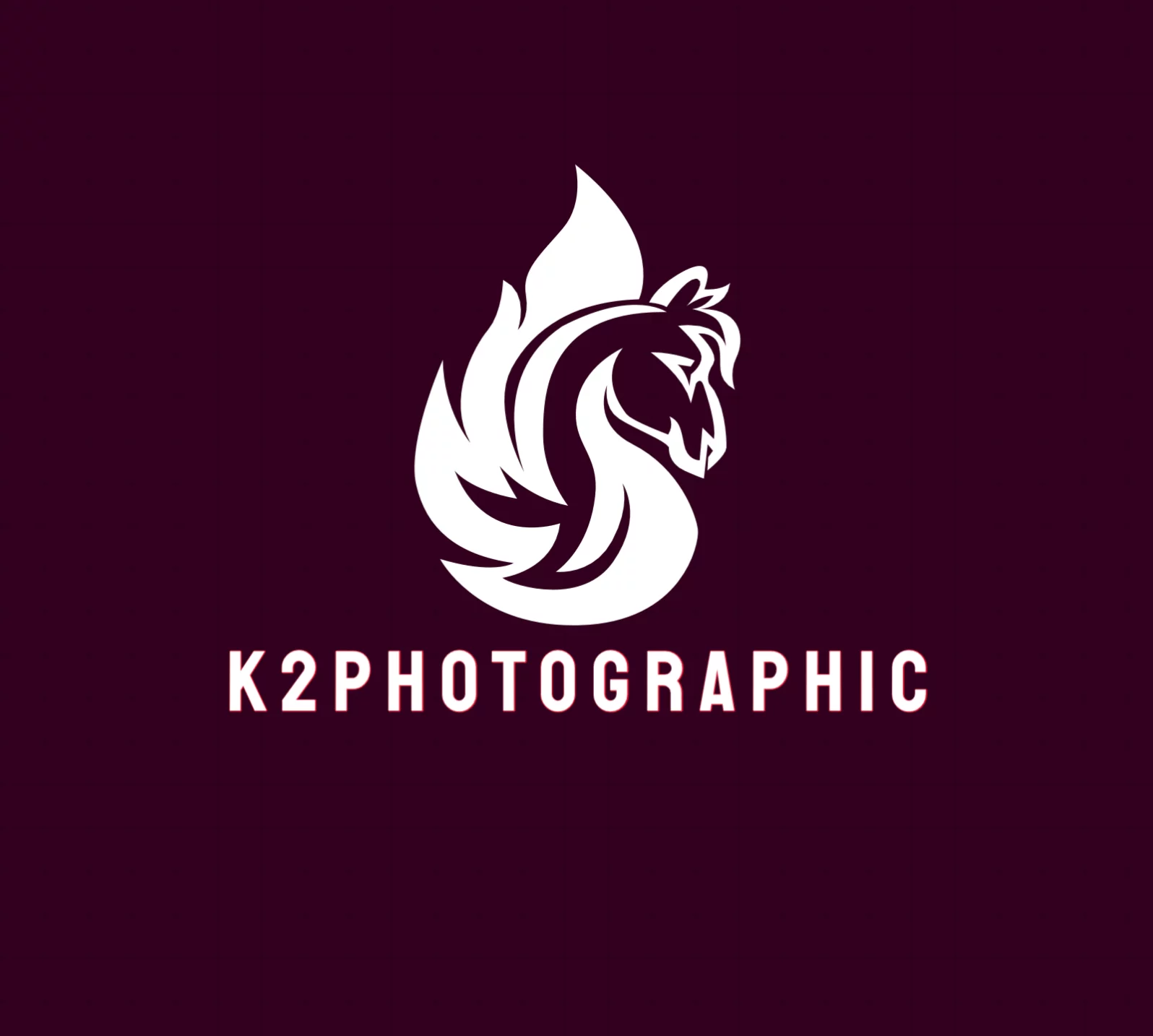 K2 Photographic - Yorkshire's specialists in cinematic off-camera flash. Outdoor horse, dog & family portraits across Leeds, Wakefield & beyond