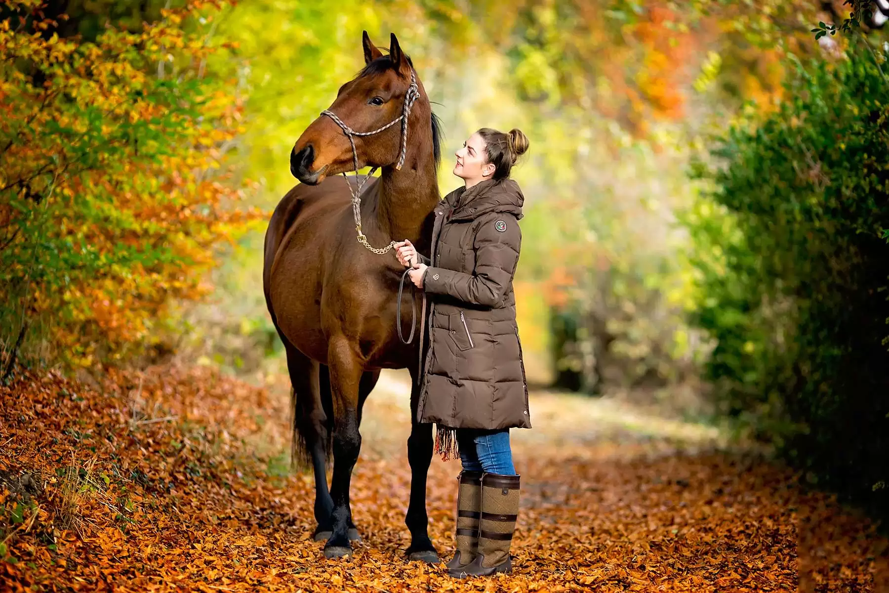 About K2photographic 3 K2photographic - UK specialists in cinematic off-camera flash for horse portrait photography, dog & family portraits.