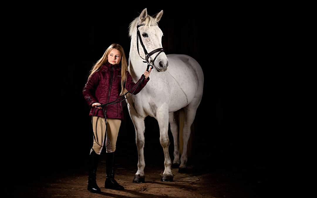 Using Off Camera Flash For Horse Portrait Photography – Which Lighting Modifier Should I Use?