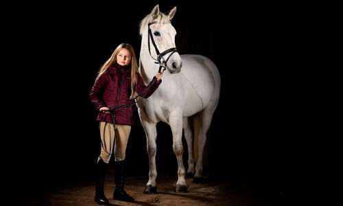 The Blog 11 Horse Portrait Photography