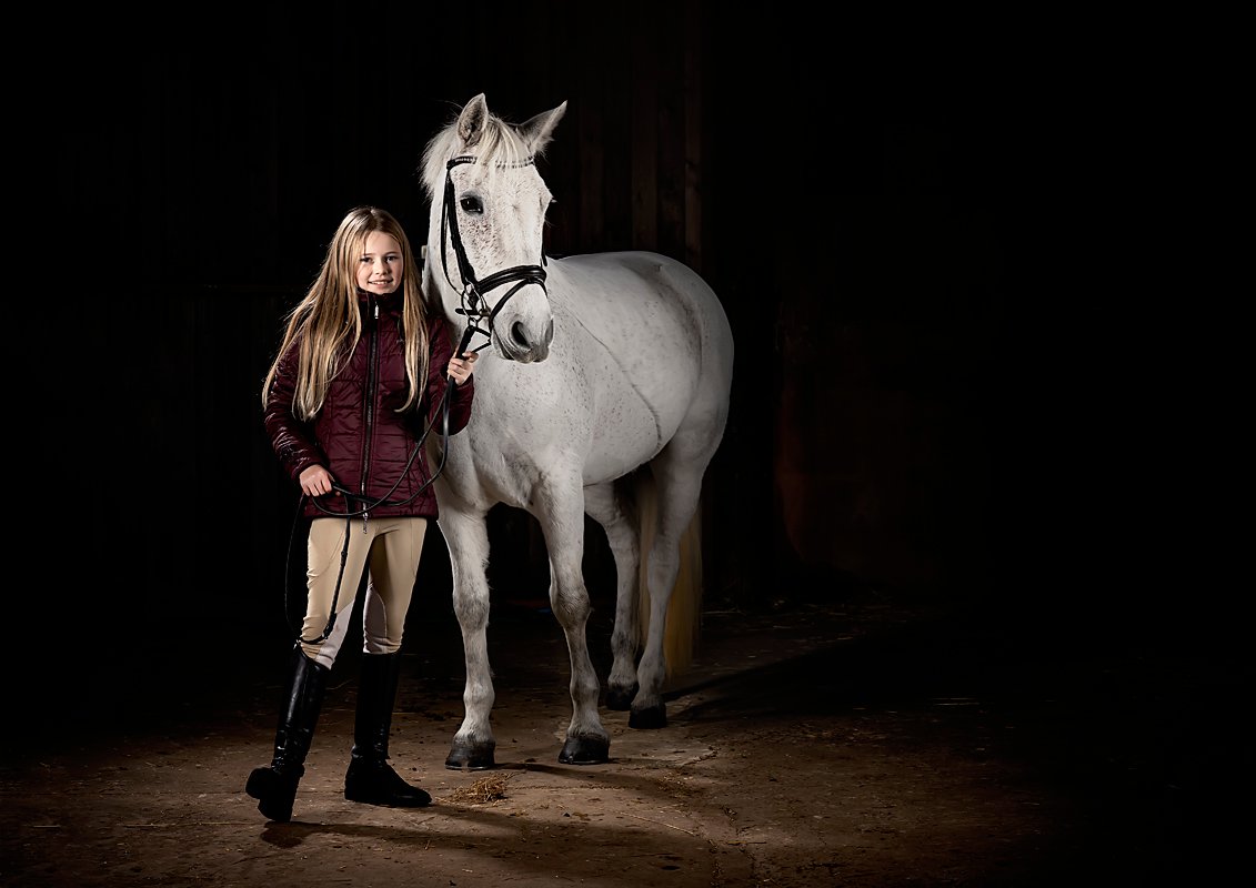 Amazing Horse Portrait Photography Yorkshire - K2Photographic - Gallery