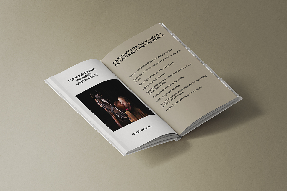 What Makes A Horse Portrait Photograph Cinematic?