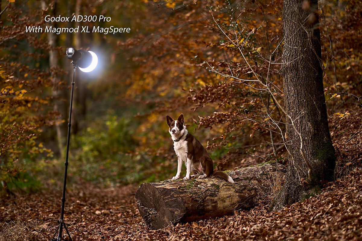 Behind The Scenes: An Overview of My Cinematic Lighting Process With Strobes - Off Camera Flash. 5 K2photographic - UK specialists in cinematic off-camera flash for horse portrait photography, dog & family portraits.