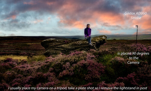 The Blog 10 K2photographic - UK specialists in cinematic off-camera flash for horse portrait photography, dog & family portraits.