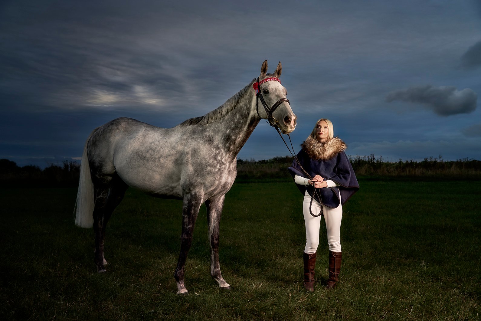 Horse portrait photography, Equine photography, autumn